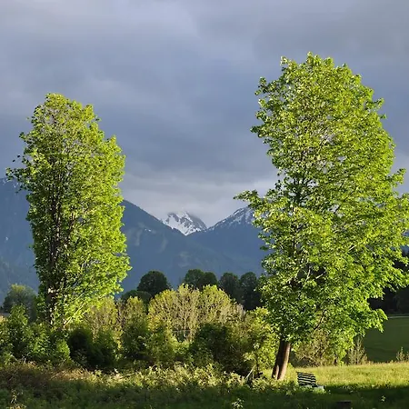 Апартаменты Apartmenthaus Dornroeschen Рамзау