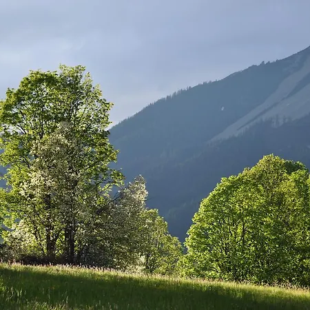 Apartmenthaus Dornroeschen Apartment Ramsau am Dachstein