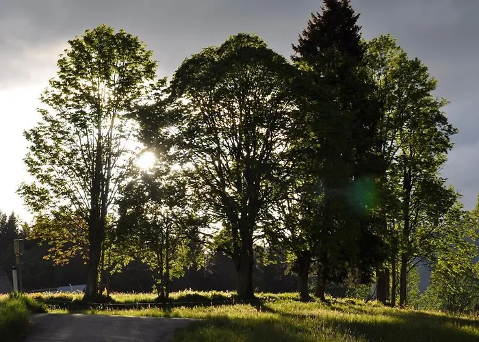 Apartmenthaus Dornroeschen * 람자우 암 다흐스타인