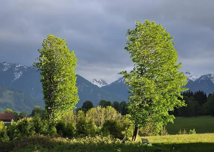 아파트 Apartmenthaus Dornroeschen 람자우 암 다흐스타인