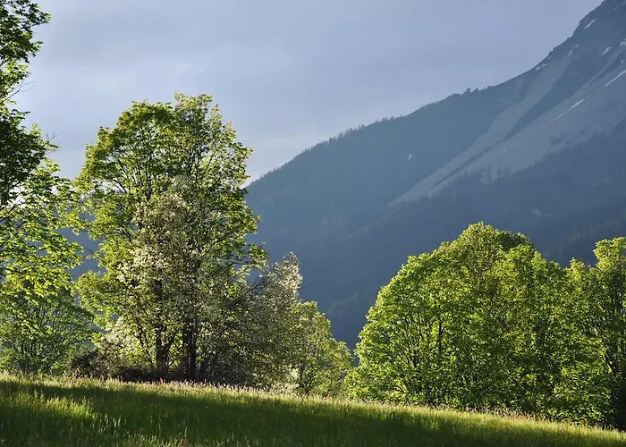 Apartmenthaus Dornroeschen Apartment Ramsau am Dachstein